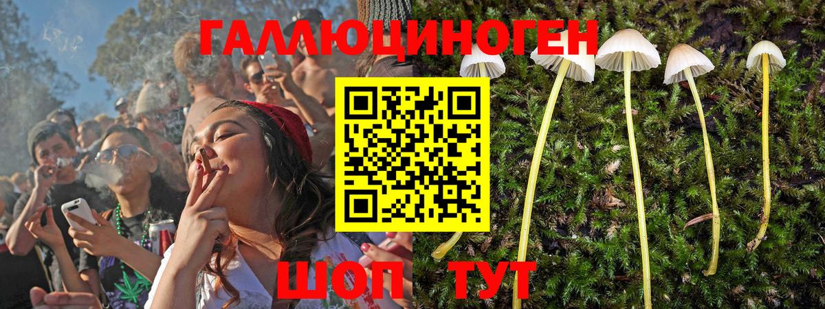 Галлюциногенные грибы прущие грибы  Галлюциногенные грибы Magic Shrooms  Карачаевск  Вход с VPN 