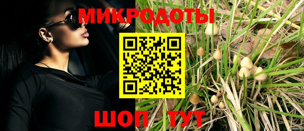 Псилоцибиновые грибы GOLDEN TEACHER Карачаевск